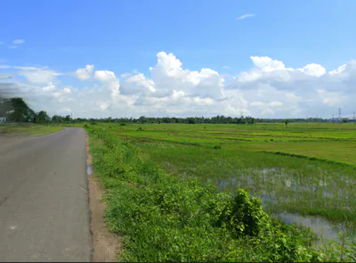 PG7P+J69, Simga - Kawardha Rd, Berla, Bemetara, Chhattisgarh 491335, India preview 3