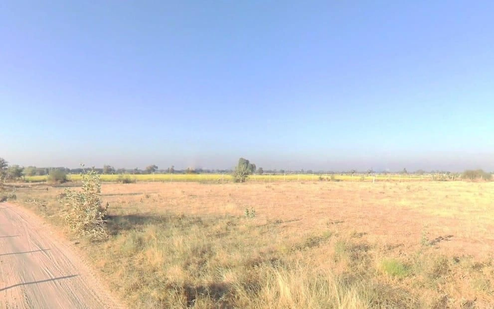 V5VM+67M, Bandai, Rajasthan 306421, India