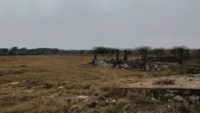 RH4R+WH2, Palri Parsa, Rajasthan, India preview 3