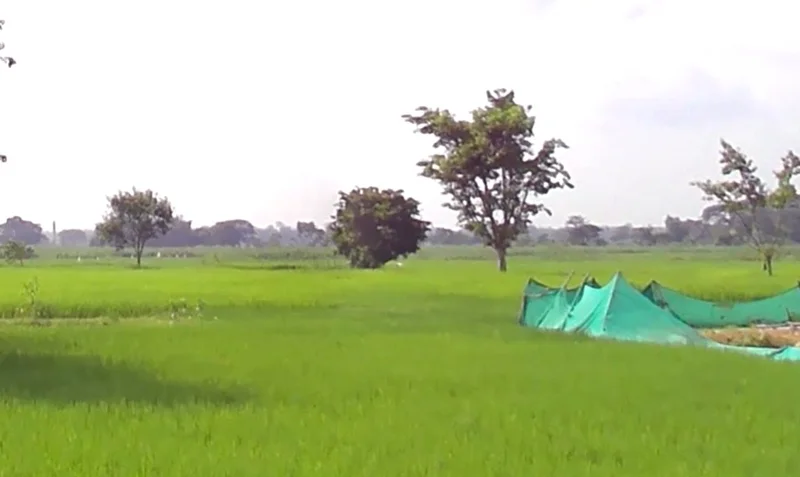 Jaora, Madhya Pradesh 457226, India preview 2