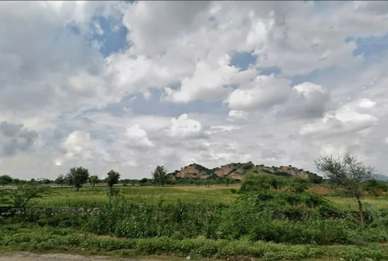 Q84P+9CW, Palu Kalan, Rajasthan 303348, India preview 2