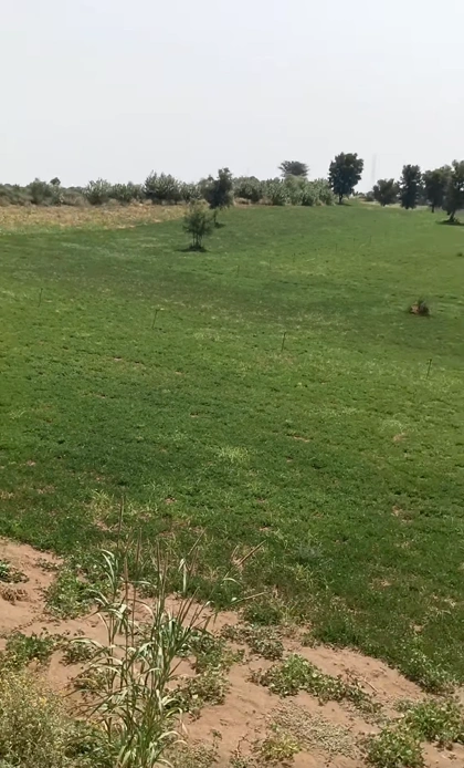 8Q8J+FPG, Tonk, Bagri, Rajasthan 304801, India