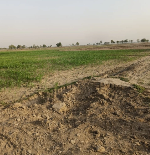 Kiratpur Sahib, Punjab 140115, India