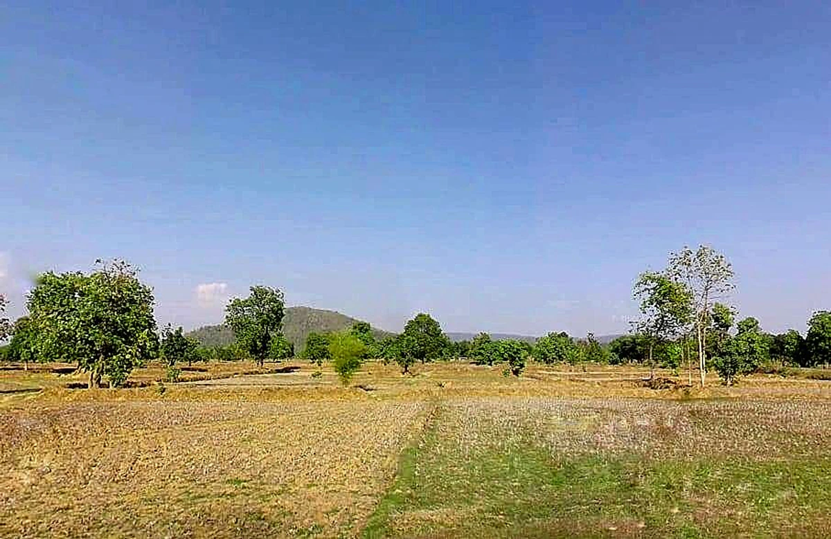 Tekri, Madhya Pradesh 481222, India