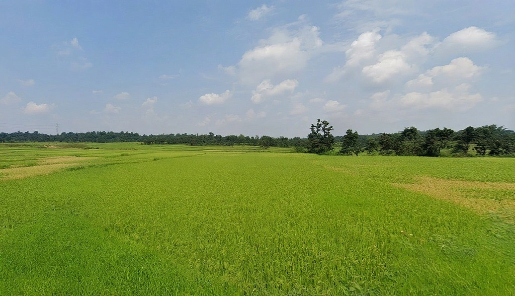 Chukru, Jharkhand 835221, India