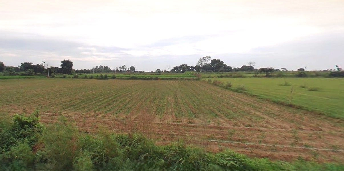 Rampur Maniharan, Uttar Pradesh 247451, India