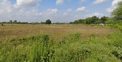 Shikarpur, Uttar Pradesh 203395, India preview 2