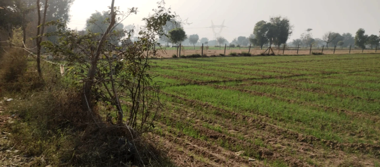 New Chandigarh, Punjab 140901, India