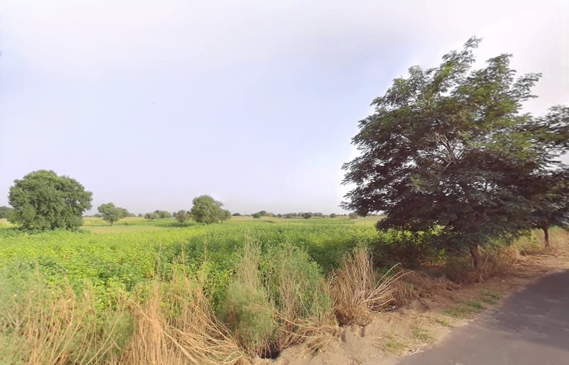 Jant, Haryana, India