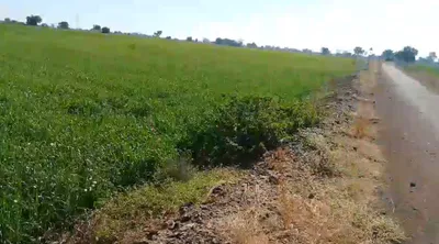 Banga, Punjab 144505, India preview 2