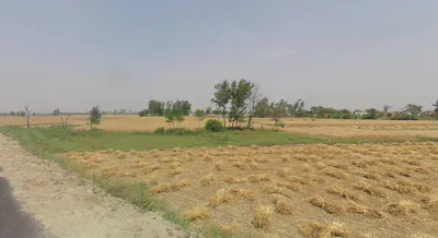 Atrauli, Uttar Pradesh, India preview 2