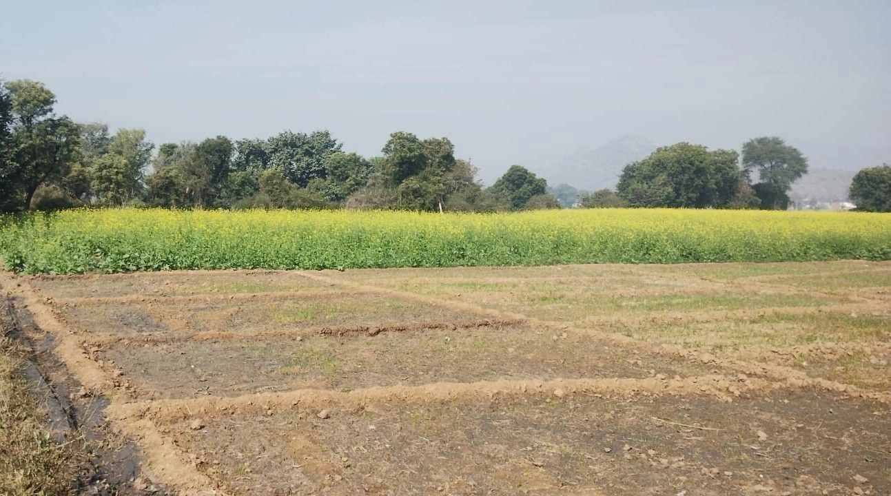 Rogra, Rajasthan 301001, India