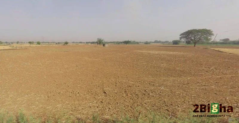 MDR104, Tiwari, Rajasthan 342306, India preview 3