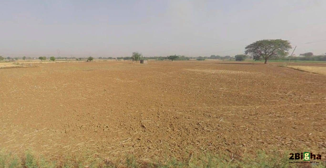 MDR104, Tiwari, Rajasthan 342306, India