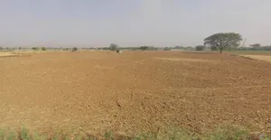 MDR104, Tiwari, Rajasthan 342306, India preview 3