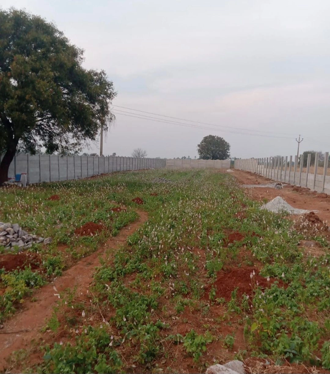 Nagapuri, Telangana 506223, India