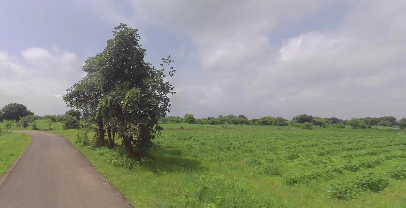 Ankhol, Gujarat 390019, India