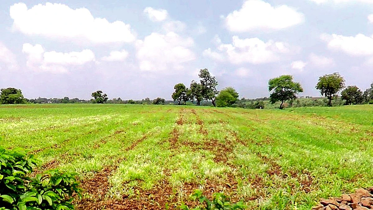 It Kheda, Madhya Pradesh, India