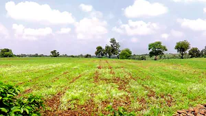 It Kheda, Madhya Pradesh, India preview 3