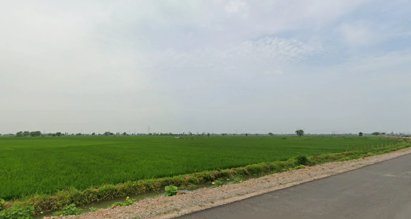 Malipura, Rajasthan 323022, India