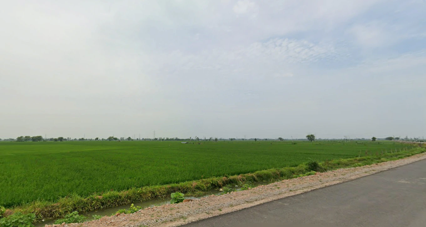 Malipura, Rajasthan 323022, India