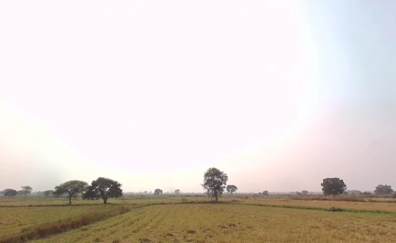 Rakhi-1, Chhattisgarh 492018, India preview 2