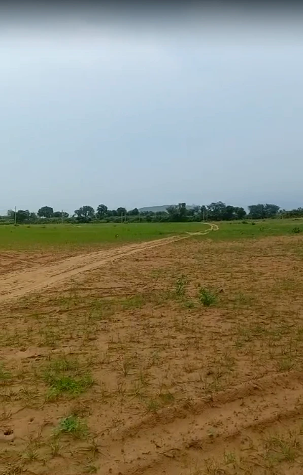 Nithari Rd, Haldeena, Rajasthan 301406, India