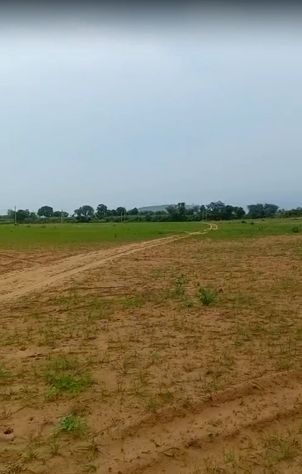 Nithari Rd, Haldeena, Rajasthan 301406, India - Photo 2