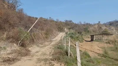 Raipur Rani, Haryana 134204, India preview 2