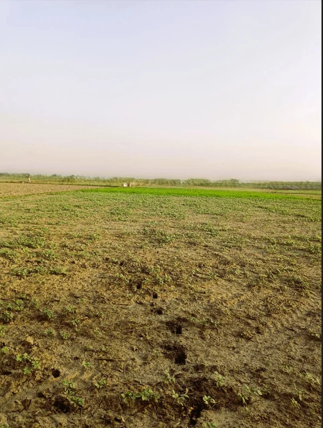 Hassanpur, Haryana 131039, India preview 5