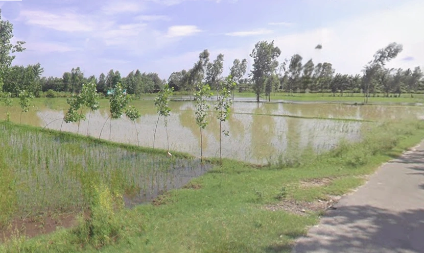 Punwarka, Uttar Pradesh 247120, India