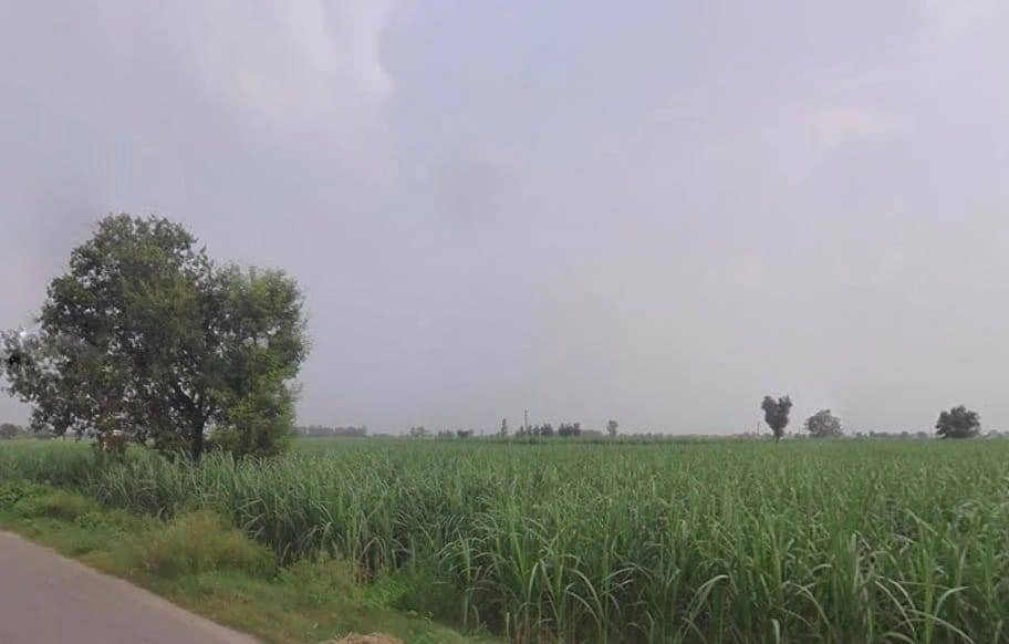 Bahsuma - Khatauli Rd, Kheri Kuresh, Tisang, Uttar Pradesh 251314, India