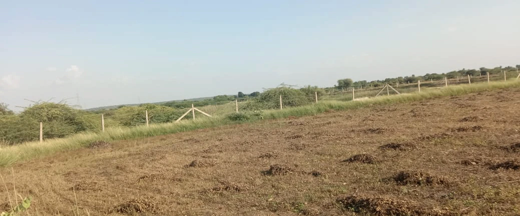 Barsana, Uttar Pradesh 281405, India