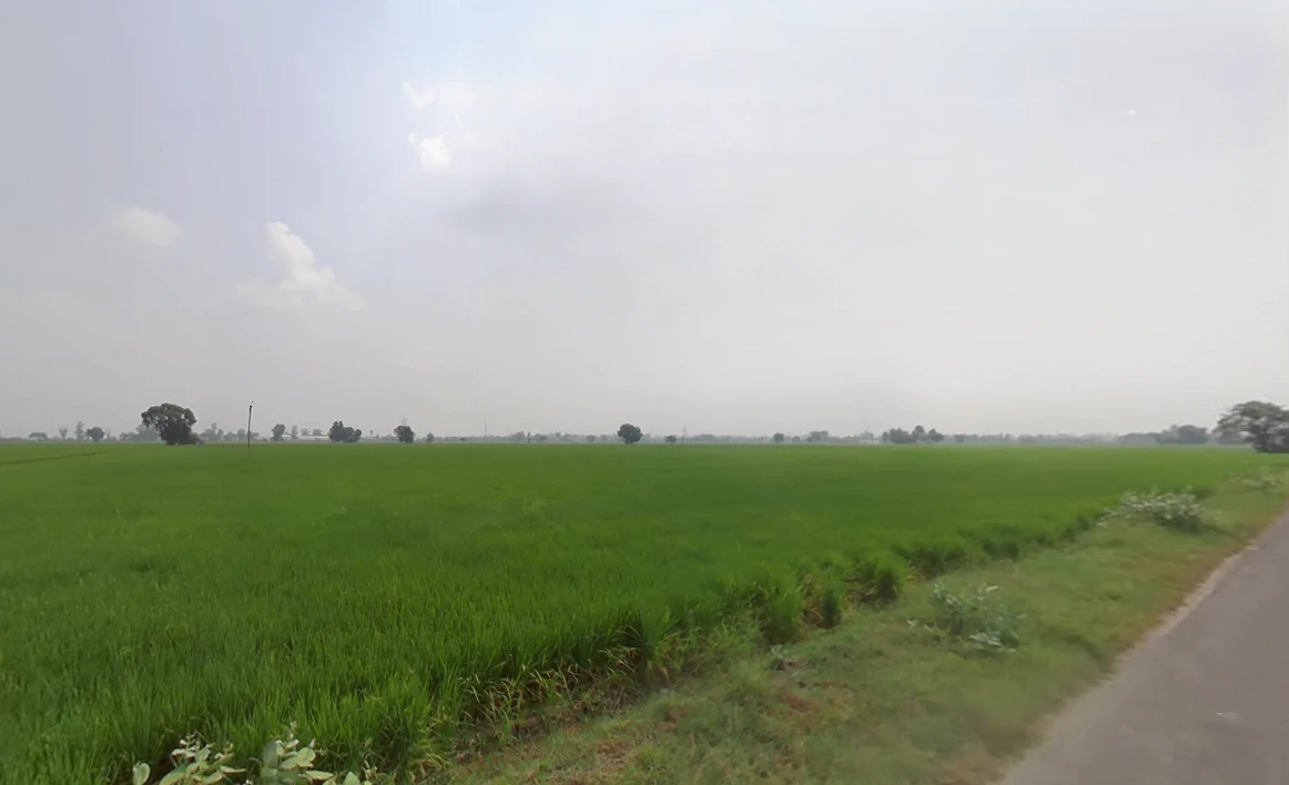 Raisen Rd, Anandnagar, Bhopal, Madhya Pradesh, India