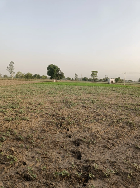 Khurja, Uttar Pradesh 203131, India