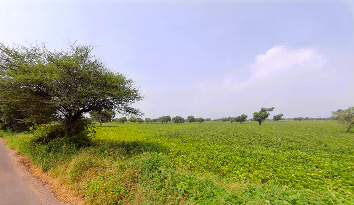 Lilas, Haryana 127046, India