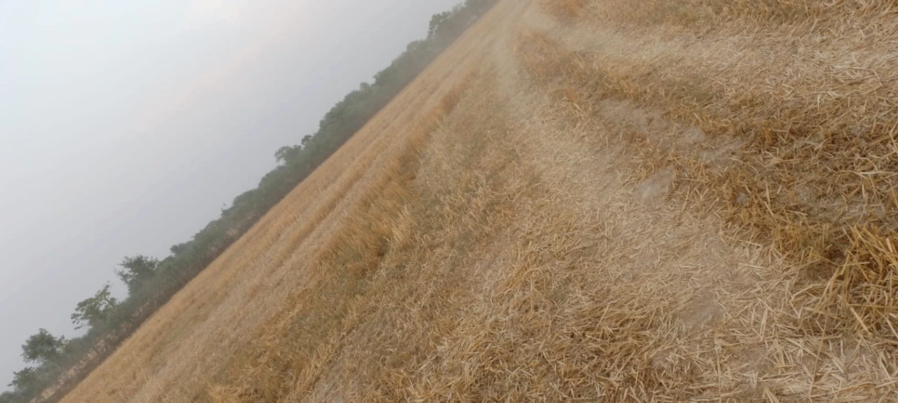 Mant, Uttar Pradesh 281202, India
