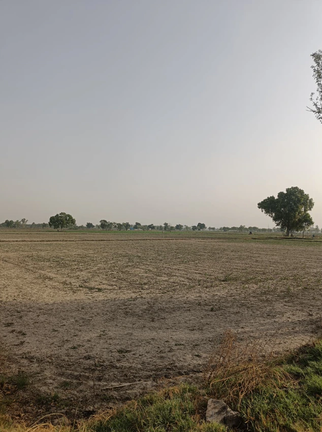 Bara, Mahoba, Uttar Pradesh 210433, India