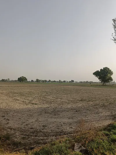 Bara, Mahoba, Uttar Pradesh 210433, India preview 2