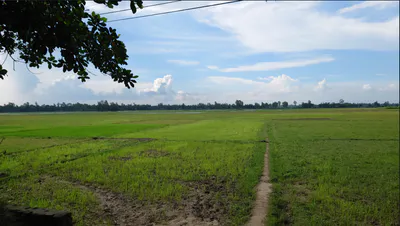 Panbu, Yangmakum, Kalimpong, Yang Makum Khasmahal, West Bengal 734301, India preview 2