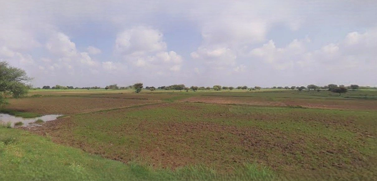 Barnagar, Madhya Pradesh 456771, India