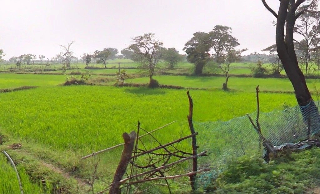 Kusmi, Chhattisgarh 491332, India