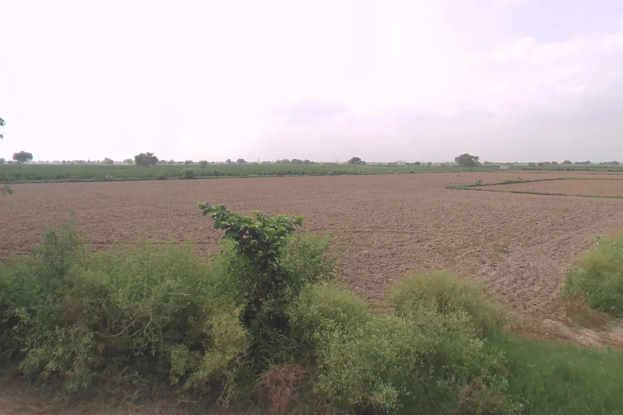 Bedwa, Haryana 124112, India preview 3