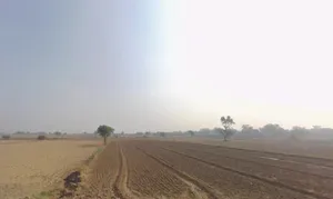 Kherari, Haryana, India preview 3
