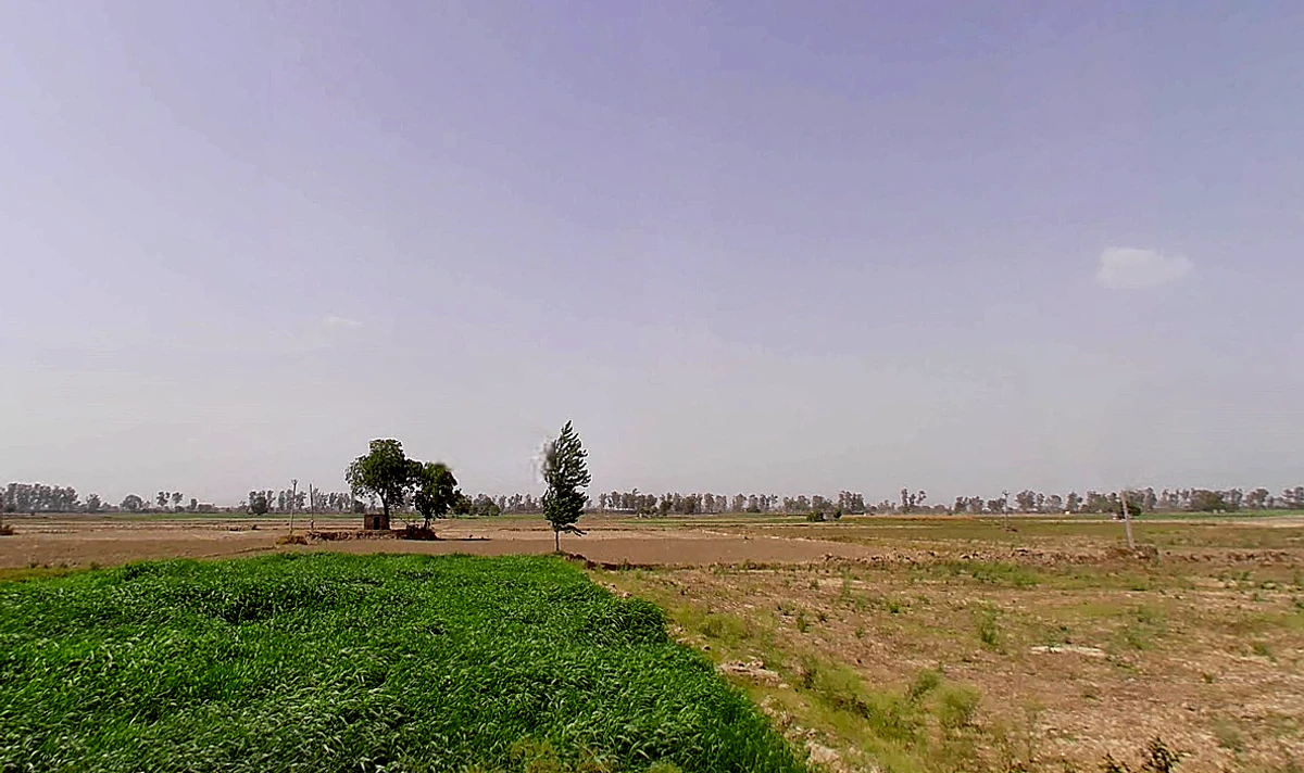 Bapauli, Haryana 132104, India