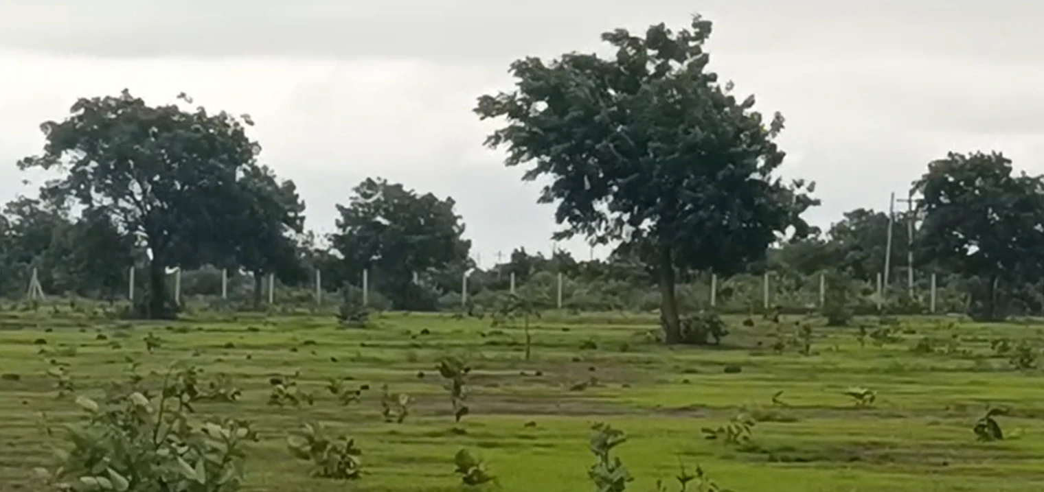 FV2C+94 Durgamcheru, Vikarabad, Telangana, India