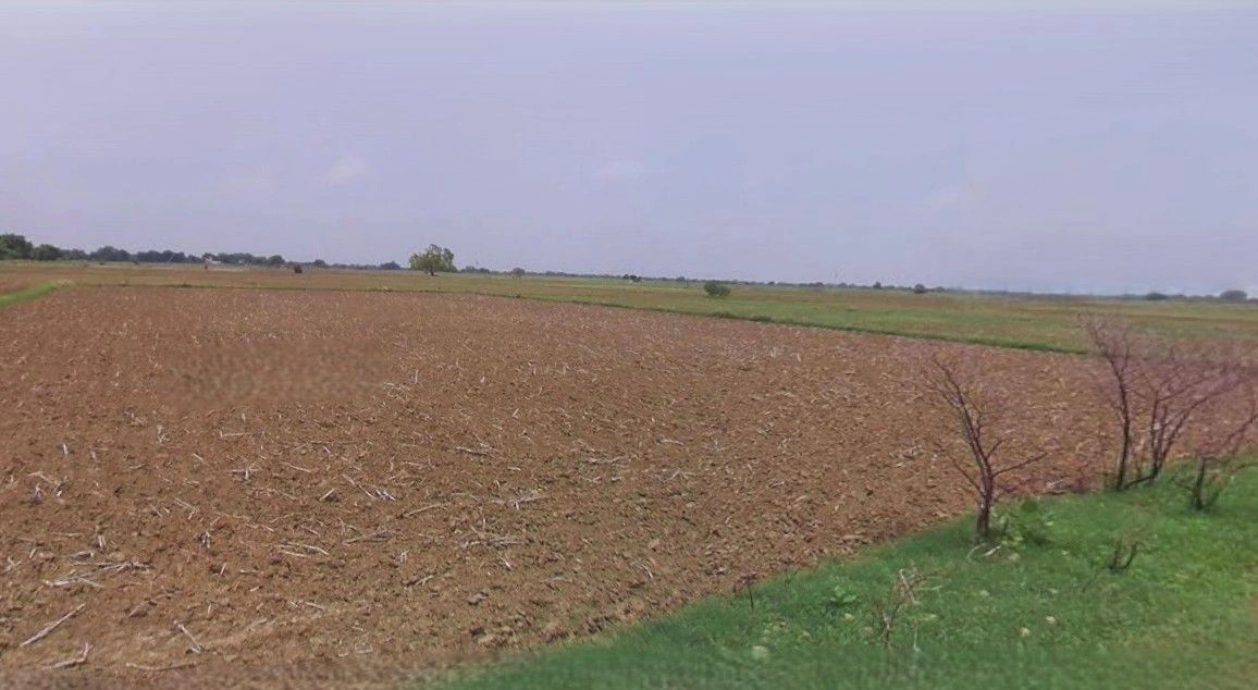 Chuliana, Haryana 124501, India