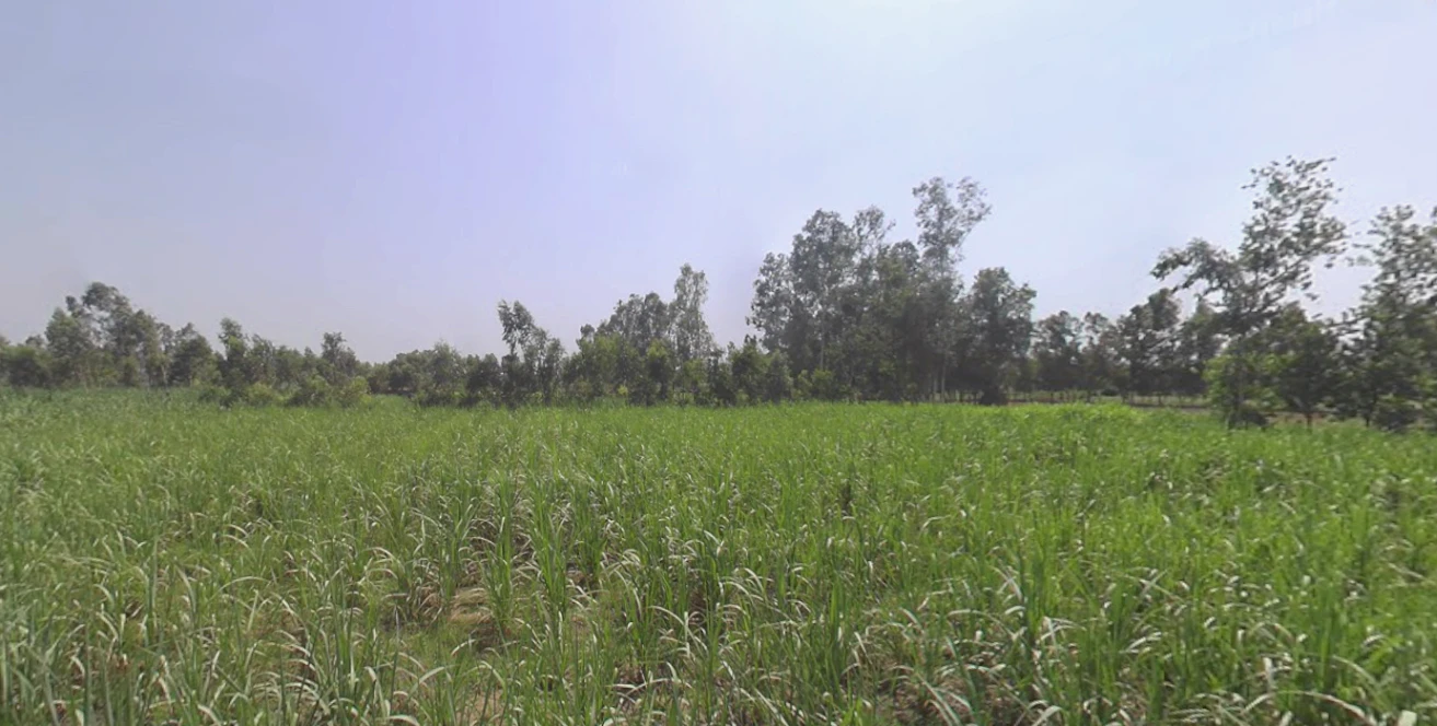 Hasanpur, Uttar Pradesh 244241, India