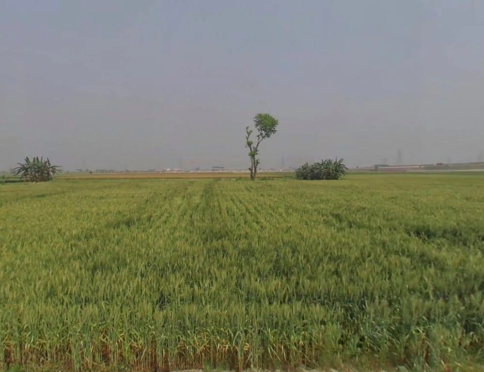 Jobner, Rajasthan, India