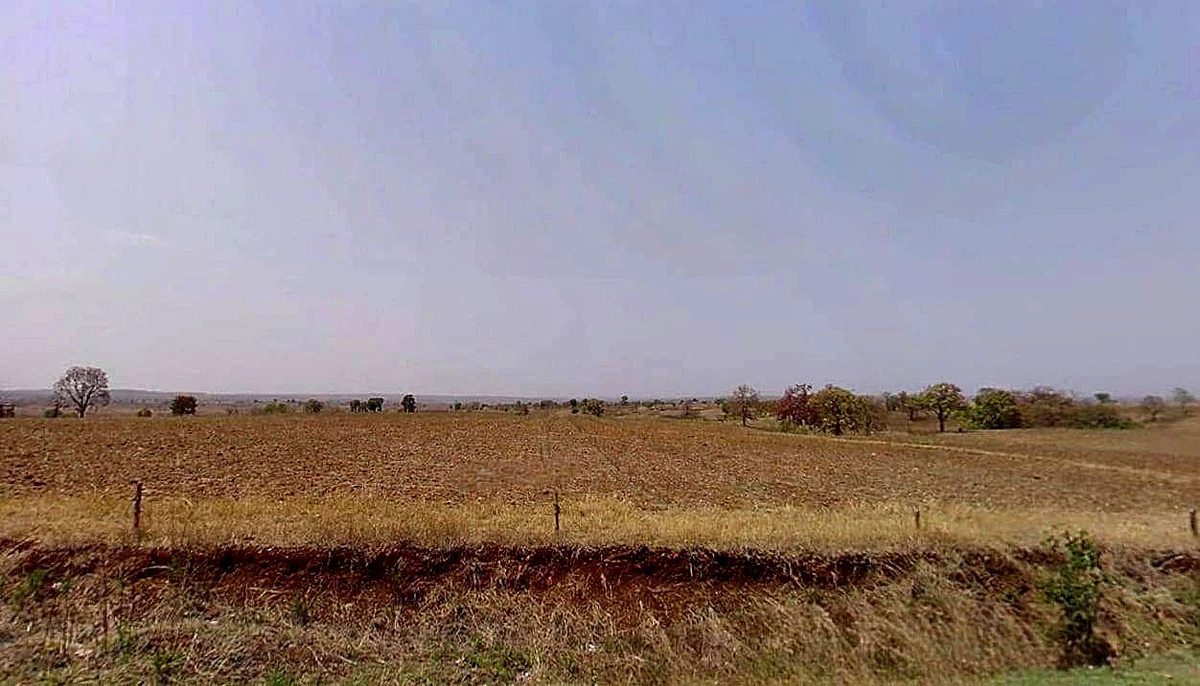 Sawari, Madhya Pradesh, India